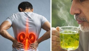 Alternatives foie gras bien être Digestion glycémie Phyllanthus niruri Reins Santé naturelle 