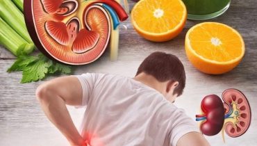 Alternatives foie gras Bienfaits santé Céleri Fenouillèdes Jus détox Oranges Poumons Recettes naturelles Reins