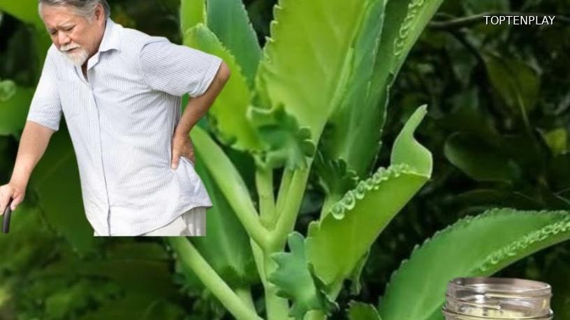 Symbolbild © TopTenPlay