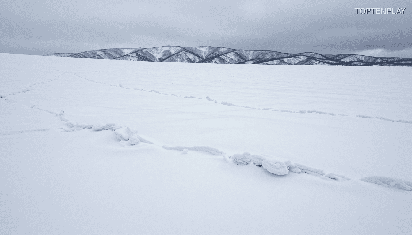 Image d'illustration © TopTenPlay