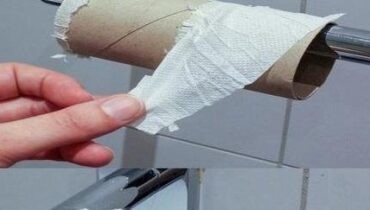 Alternatives au vin Bienfaits santé environnement Fertilité masculine Papier toilette Toxicité