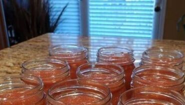 Astuces maison Cuisine Mexicaine Cuisine rapide Mixeur Recette beauté Salsa