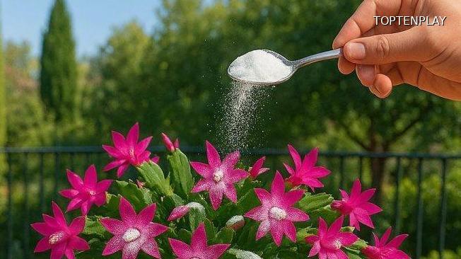 Symbolbild © TopTenPlay