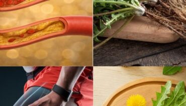 bien être Digestion Infusions Pissenlit Plantes médicinales Santé naturelle