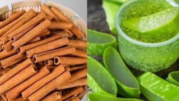 Aloe vera bien être Boisson naturelle Cannelle Chèque énergie Fatigue oculaire Santé naturelle