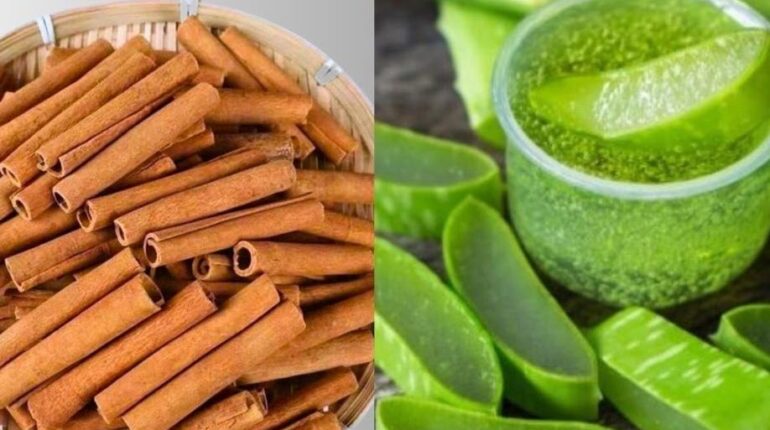 Aloe vera bien être Boisson naturelle Cannelle Chèque énergie Fatigue oculaire Santé naturelle