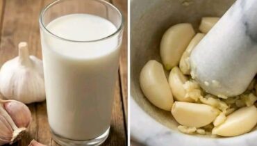 Absence au travail allaité trois enfants bienfaits Bienfaits santé Immunité Remède naturel