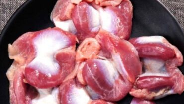 Accident ferroviaire alimentation Carences Nutritionnelles consommation viande Gésiers Poulet Protéines végétales