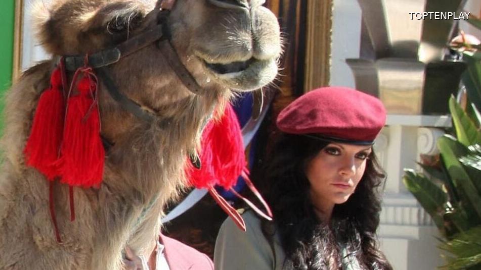 Image d'illustration © TopTenPlay