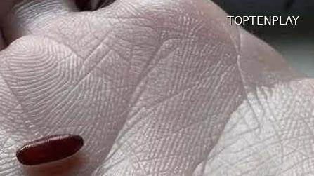 Symbolbild © TopTenPlay