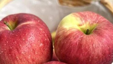 Bienfaits des fruits Fibres Nutrition des plantes Pommes santé cardiovasculaire Santé intestinale