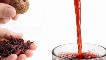 bien être Boissons énergisantes Circulation Digestion Recettes d'accompagnement Santé naturelle Tisanes