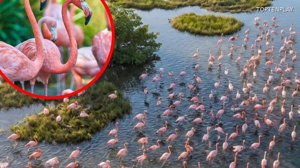 Symbolbild © TopTenPlay