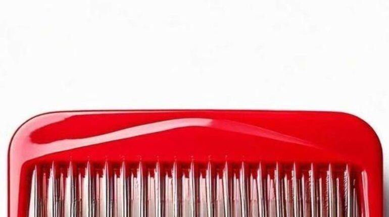 Amour moderne Artefact culturel Culture populaire Design Histoire des objets Peigne Révolution industrielle