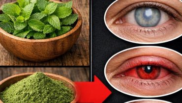 Actualités télévision bien être Origan cubain Phytothérapie Remèdes naturels Santé oculaire 