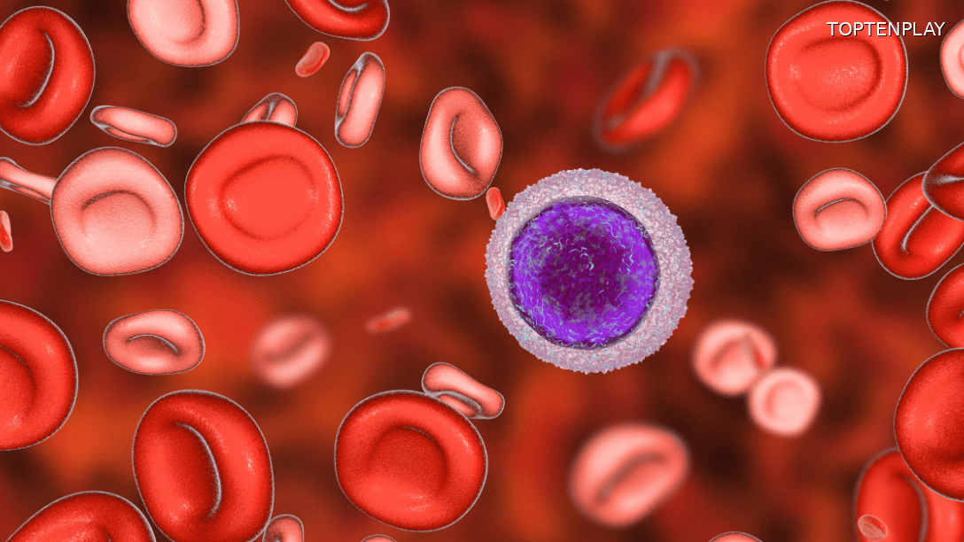 Image d'illustration © TopTenPlay