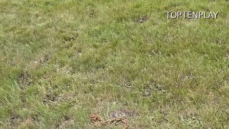 Symbolbild © TopTenPlay