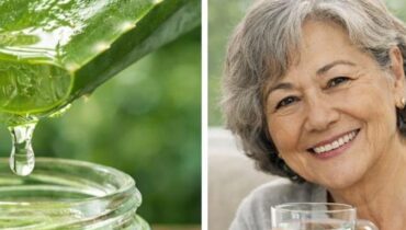 Actualités télévision Aloe vera bien être Cancer de la peau Cannelle Digestion Recettes naturelles