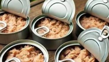 Bienfaits des plantes Boîtes de conserve Bougies décoration DIY cleaning LE RECYCLAGE. 