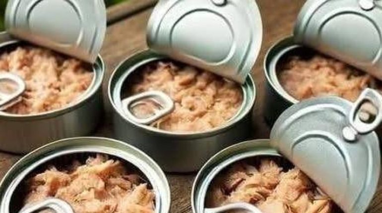 Bienfaits des plantes Boîtes de conserve Bougies décoration DIY cleaning LE RECYCLAGE. 