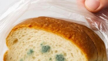 Astuce cuisine Conservation des aliments copain humidité Moisissure Températures