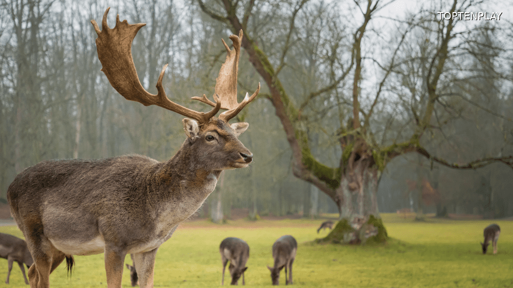 Image d'illustration © TopTenPlay