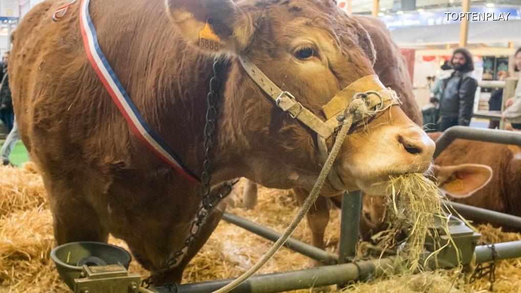 Image d'illustration © TopTenPlay