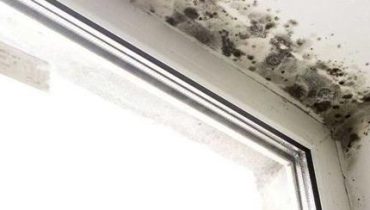 Anti-moisissure bicarbonate de soude humidité Moisissures Nettoyage naturel vinaigre blanc 