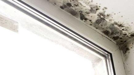 ff97010e-2cb5-4016-8a39-20a54ccf51df