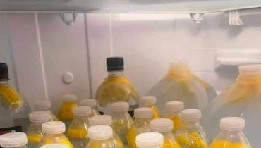 Alimentation Santé bien être Bienfaits gingembre Digestion inflammation perte de poids 