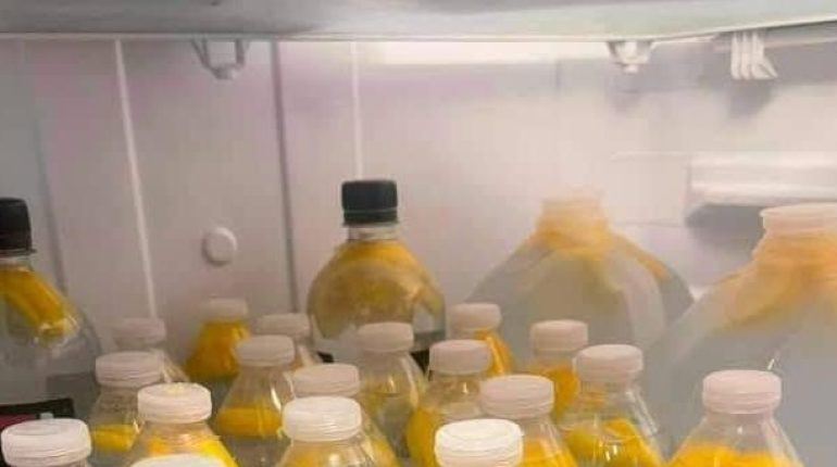 Alimentation Santé bien être Bienfaits gingembre Digestion inflammation perte de poids 