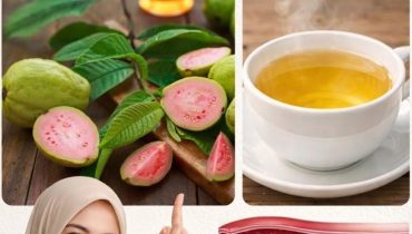 diabète Digestion Feuilles de goyave glycémie Phytothérapie Santé cardiaque 