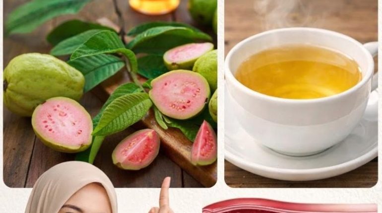 diabète Digestion Feuilles de goyave glycémie Phytothérapie Santé cardiaque 