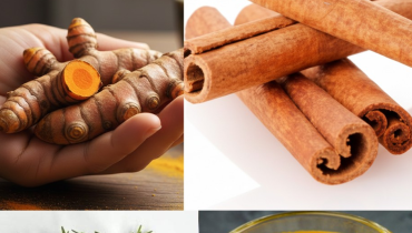 Alternatives foie gras Cannelle Curcuma Douleurs articulaires glycémie Romarin Tisane 