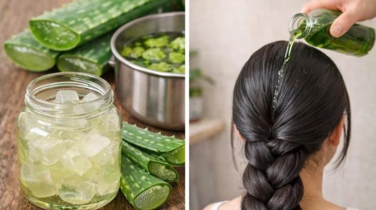 Aloe vera Cheveux forts Cosmétiques naturels Cuir chevelu apaisé Recette maison Soins capillaires 