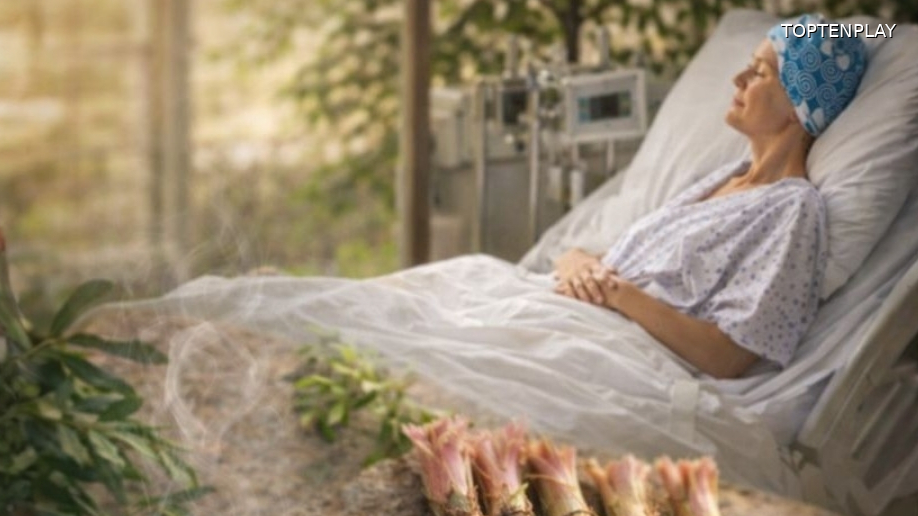 Image d'illustration © TopTenPlay