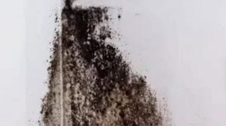 Aération maison Anti-moisissure Entretien maison humidité Traitement humidité Végétation murale 