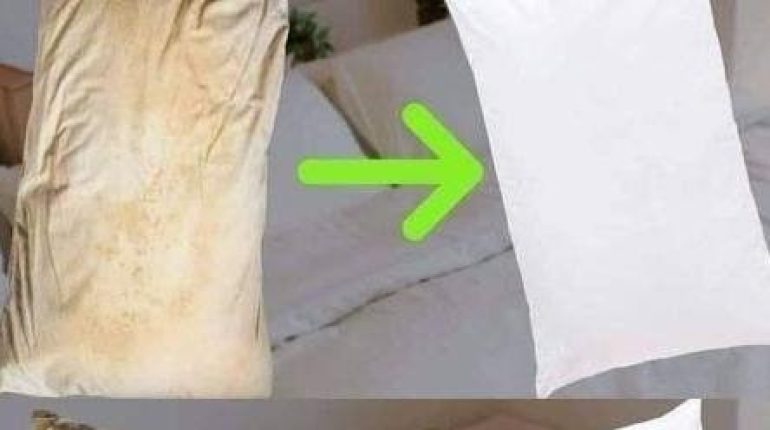 Astuce de maison bicarbonate de soude Blanchir le linge Entretien automobile Nettoyage bois Oreillers d'appuie-tête vinaigre blanc 