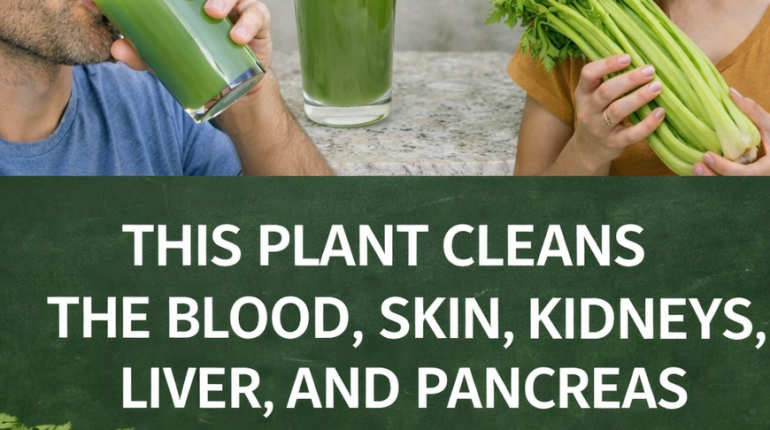Alimentation Santé Alternatives foie gras Bienfaits des légumes Bienfaits nutritionnels Céleri glycémie Reins 
