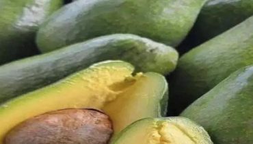 alimentation Alimentation Santé Avocats Bienfaits nutritionnels Gestion du poids Superaliment 