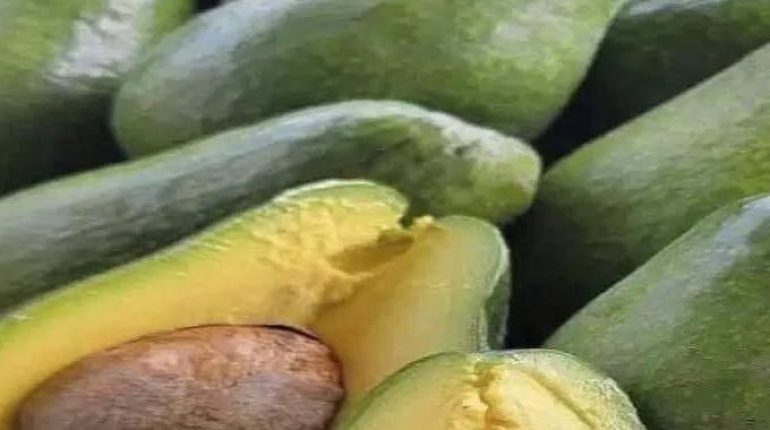 alimentation Alimentation Santé Avocats Bienfaits nutritionnels Gestion du poids Superaliment 