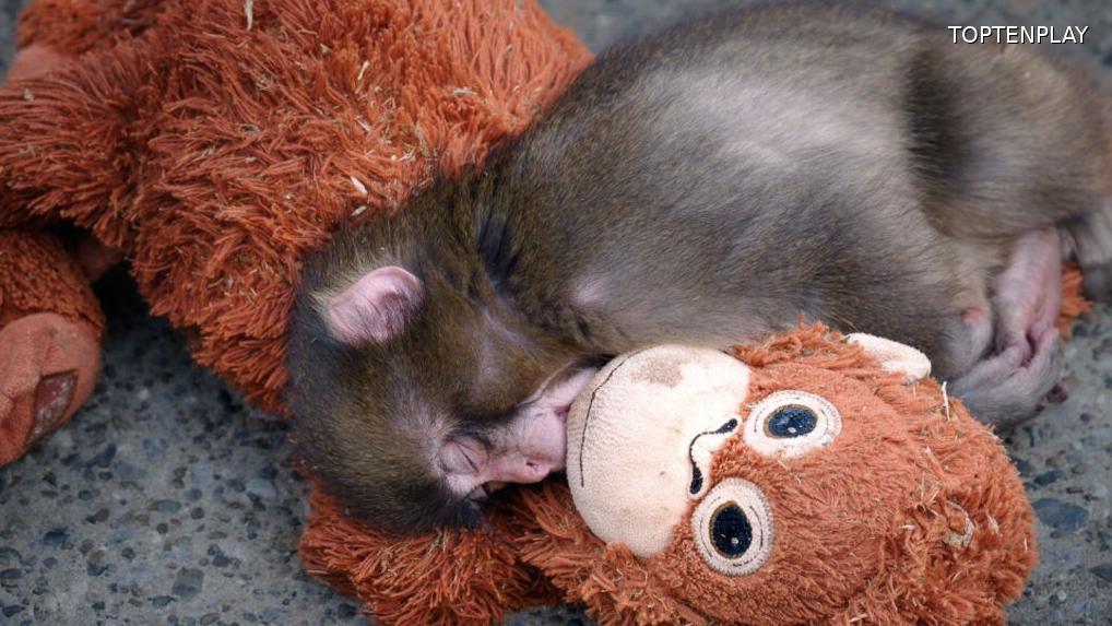 Image d'illustration © TopTenPlay