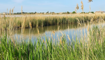 Abolition peine de mort accident Adolescente Noirmoutier Trottinette électrique Vendée 