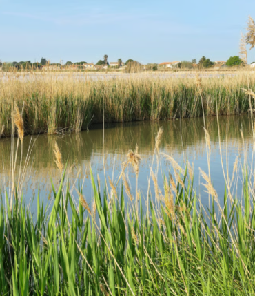 Noirmoutier : une adolescente de 15 ans retrouvée morte dans un étier après avoir disparu lors d&rsquo;une sortie en trottinette