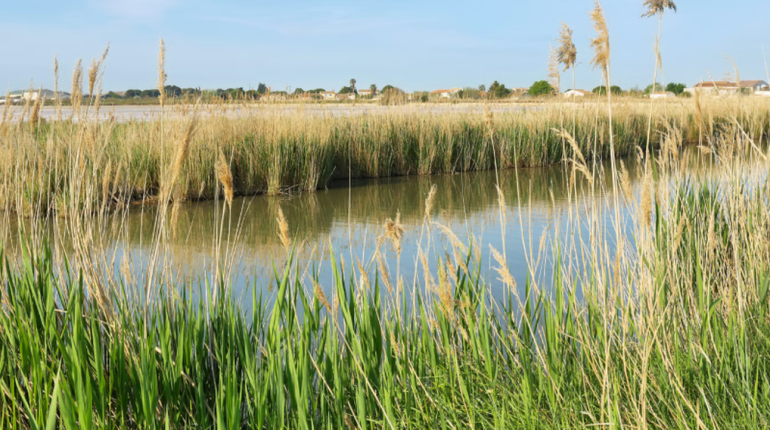 Abolition peine de mort accident Adolescente Noirmoutier Trottinette électrique Vendée 