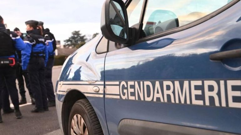 Actualités animales Cambriolage faits divers faits divers Lyon injustice légitime défense 