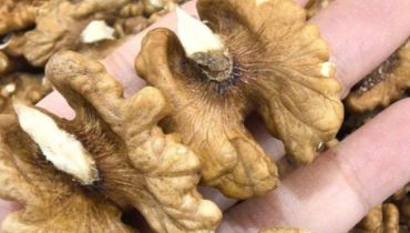 Alzheimer bien être Bienfaits des noix Carences Nutritionnelles mémoire Santé Cérébrale 