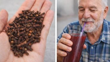 Antioxydants bien être Circulation sanguine Clous de girofle glycémie Santé métabolique 