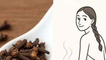 Anti-inflammatoire Antibactérien Clou de girofle Cuisine épicée Eugénol Médecine traditionnelle 