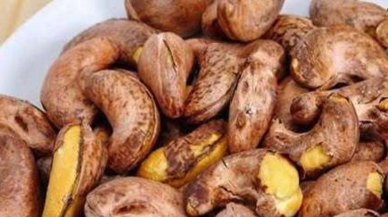 alimentation Alimentation Santé bienfaits Bienfaits nutritionnels Conscience corporelle Noix de cajou 